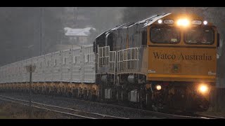 Watco 6ES4 brand new cattle train [upl. by Annadroj864]