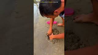 In China people earn millions by beating sand on the banks of ponds shortvideo [upl. by Entirb]