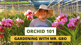 Gardening with Mr GBO Orchid 101 [upl. by Nolaj]