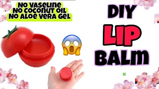 How to make Lip Balm without Vaseline And coconut oil  DIY lipbalm  Natural Lipbalm [upl. by Hsaka817]