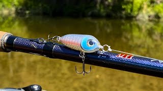 Nano Walking Bait  One Day Build to Catch [upl. by Hailee]