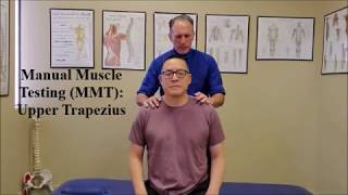 Manual Muscle Test MMT Trapezius Traps [upl. by Cotter]