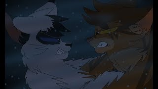 Onestar and Darktail PMV Against the Tide SHATTERED SKY SPOILERS [upl. by Suzi118]