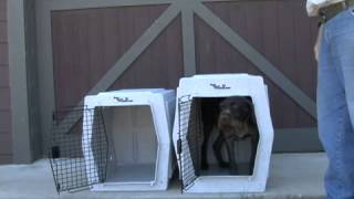 Ruff Tough Kennels How to Choose a Size [upl. by Ricki651]