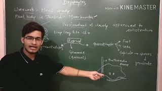 Liverworts detailed description [upl. by Sudnor]