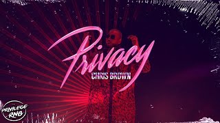 Chris Brown  Privacy Official Lyrics [upl. by Kati]