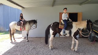 CRIANÃ‡A ANDANDO DE CAVALO PASSEIO NA TRILHA COM GOPRO CAVALO MANGALARGA MARCHADOR [upl. by Vedi415]