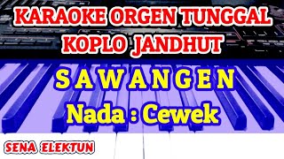 SAWANGEN  KARAOKE KOPLO JANDHUT [upl. by Lustick]