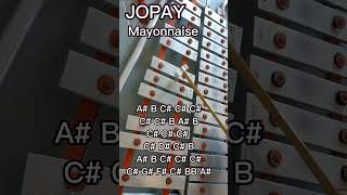 JOPAYMAYONNAISELYRE XYLOPHONE COVERLYRE NOTES [upl. by Alurd]