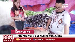 Osyter Mushroom Farming in Bukal ng Buhay Farm Indang Cavite [upl. by Ronacin]