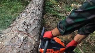 chainsaw oleomac gsh 56 [upl. by Gnoc]