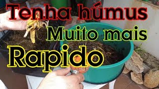 Melhor Forma de Alimentar as Minhocas do Minhocário [upl. by Tormoria759]