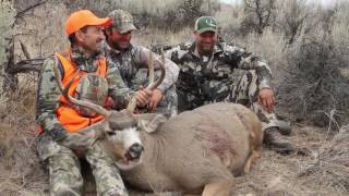 Okanogan Valley WA Mule Deer quotReap the Harvestquot [upl. by Eira]