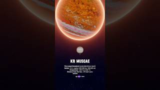 WORLD BIGGEST KR MUSCAE science sciencefacts [upl. by Onej]