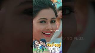 Narangi Narangi  Video Song Out Now  Rakesh Deo  Lipika Senapati  Tarang Plus [upl. by Punak408]