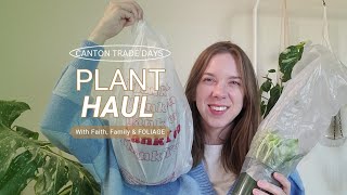 Canton Trade Days Houseplant Haul  Canton TX [upl. by Halueb]