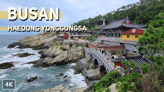 Most Beautiful Temple Haedong Yonggungsa in Korea  Mustvisit Sea View Destinations in Busan [upl. by Adnaral137]