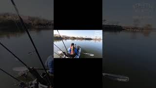 Muskie From My Paddle Kayak at CJ Brown in Ohio muskie musky muskyfishing fishing kayakfishing [upl. by Ainessey]