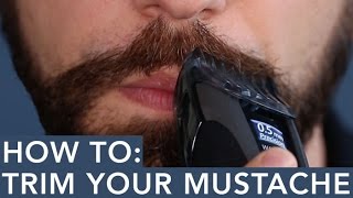 How to Trim Your Mustache [upl. by Kcirdec]