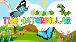 Hungary caterpillar songThe Little caterpillar song the Caterpillar poem for kidsBaby Shark [upl. by Ecitsuj]