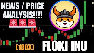 FLOKI INU COIN REASONABLE PRICE PREDICTION 2024  COMPLETE ANALYSIS 🚨 [upl. by Haldane]