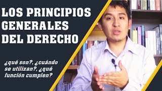 LOS PRINCIPIOS GENERALES DEL DERECHO  Introducción al Derecho  7 [upl. by Alcock812]