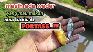 Masih ada yang SELAMAT  Untungnya ikan di sini ngk semua kena PORTASS [upl. by Ylrebmyk]