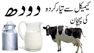 Asal Doodh ki Pehchan  How to Check Milk Purity at Home in urdu [upl. by Mcdermott]