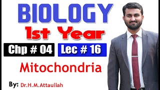 Mitochondria  Chapter 4  1st year Biology  Lec  16 [upl. by Anjali]