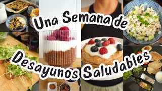 Semana de DESAYUNOS SALUDABLES altos en proteinas [upl. by Sirap]