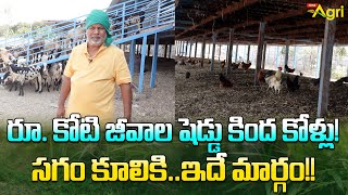 Sheep and Natu Kollu Farming  రూ కోటి జీవాల షెడ్డు కింద కోళ్లు సగం కూలికి ఇదే మార్గం Tone Agri [upl. by Llenrahs]