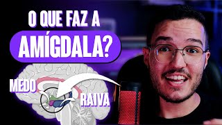 ENTENDA o papel da AMÍGDALA no MEDO [upl. by Notgnillew]