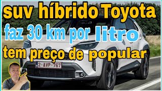 Novo hibrido popular da Toyota faz 30 km por litro [upl. by Yarased564]