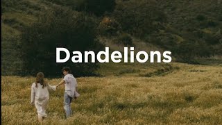 Dandelions  sped up Tiktok version [upl. by Hgeilyak]