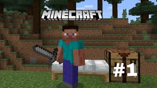 Minecraft ☺️  part 1 [upl. by Hands30]