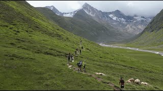 Highlights Gletscher Trailrun 2023 [upl. by Giselle]