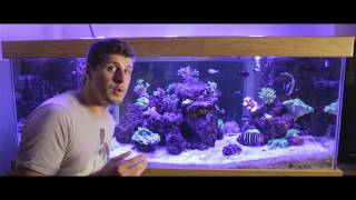 Part 2 Controlling phosphates In A Reef Aquarium [upl. by Aiekam]