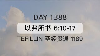 Tefillin Day 1388 以弗所书 61017 宣布圣经 5次 [upl. by Aner448]