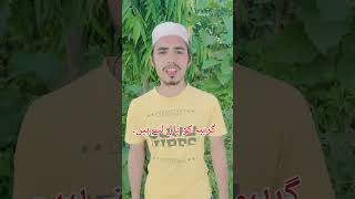 11 bi Sharif 🤲🌹🥰 new reels viralshorts islamic trending ytshorts [upl. by Namaan]