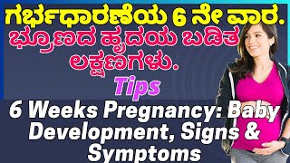 6 Weeks Pregnancy Baby Development Signs amp Symptoms in Kannada [upl. by Clementius410]