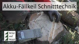 🌲Fichten Schneedruck GEBROCHEN aufarbeiten mit Forstreich TR 24  Husqvarna 550 xpg wildaufwald [upl. by Niarda]