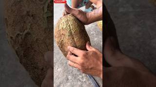 Amazing Nature Durian Gundul fruits 😲🍉🥝🥭🍑🍑🤓fruitcutting fruits shorts [upl. by Ibrik]