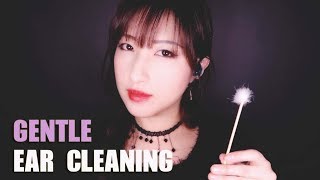 ASMR Gentle Ear Cleaning No Talking [upl. by Delly511]