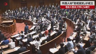 【速報】外国人材「育成就労」成立 改正入管法、27年にも施行 労働力不足解消へ政策転換 [upl. by Robaina528]