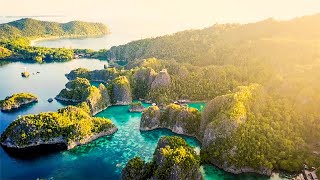 Dive into Raja Ampat in Indonesia  The Great Projects [upl. by Cristina803]