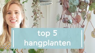 Top 5 populairste hangplanten op Instagram [upl. by Edualcnaej281]