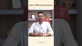 Watch as our expert embryologist explains the Sperm DNA Fragmentation testshorts [upl. by Johnston]