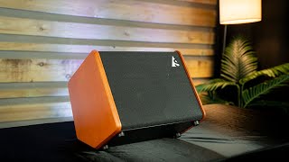 Godin Acoustic Solutions ASG8 Wood 120 Amp  Full Review amp Demo [upl. by Esenwahs231]