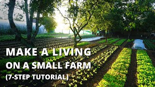 How to Start a Farm From Scratch Beginners Guide to Growing Vegetables for Profit [upl. by Anin]