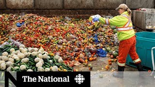 Canadians get creative in solving food waste problem [upl. by Nyrat]